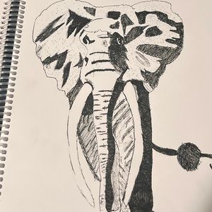 Elephant drawing